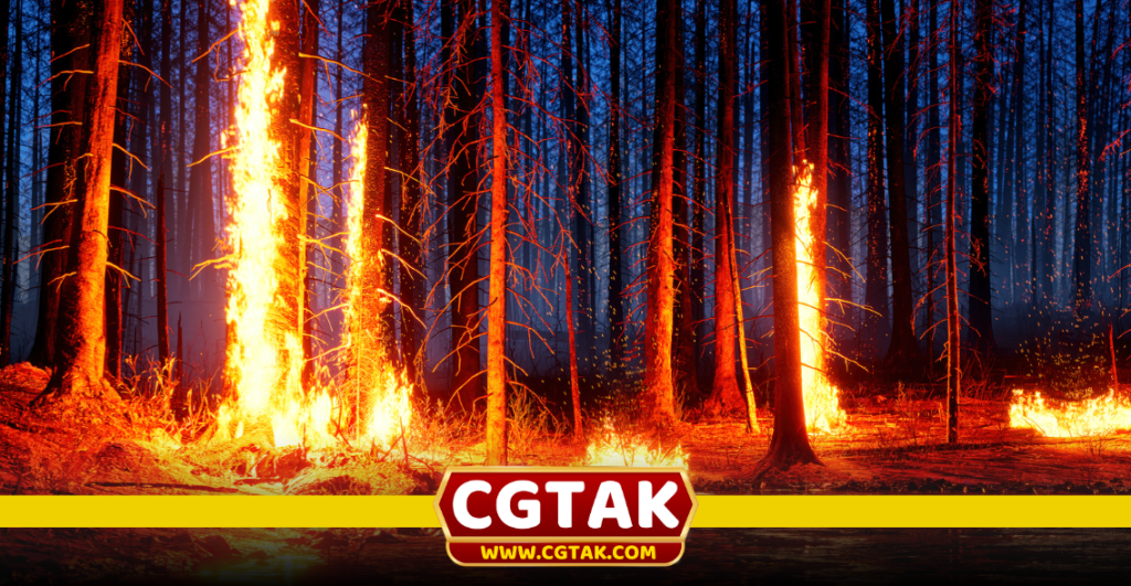 कोरबा: दमिया जंगल में लगी आग से भारी नुकसान, वन संपदा जलकर राख